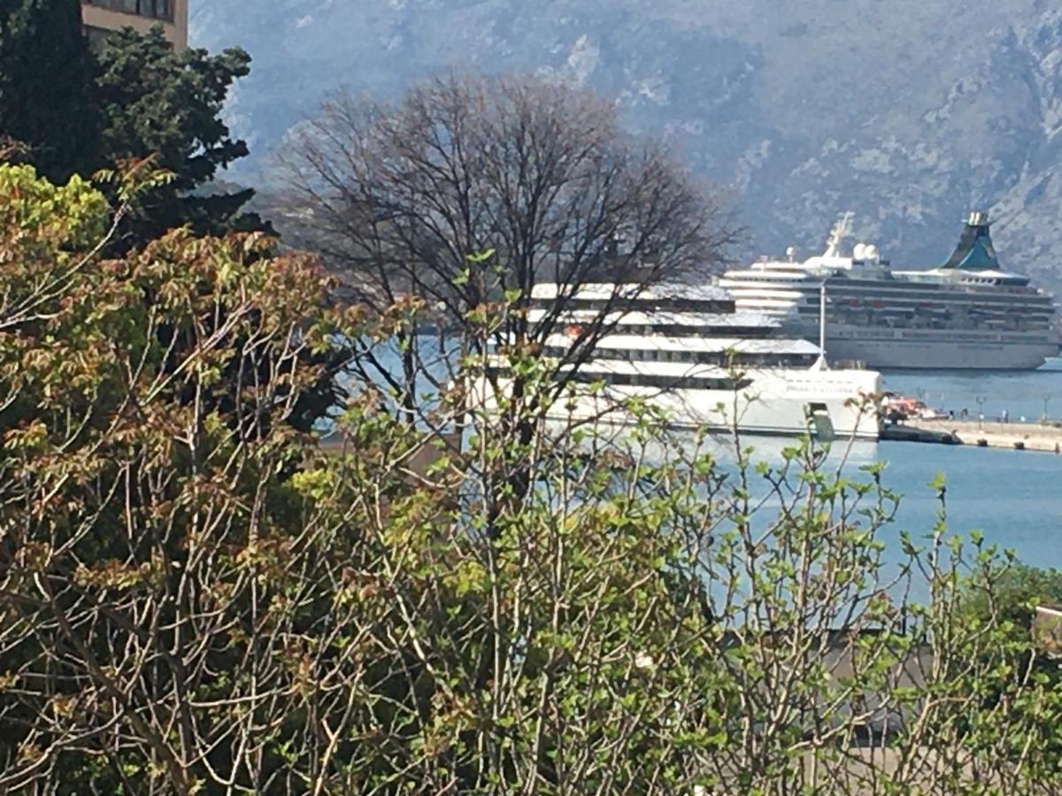 Art House 001 Otel Kotor Dış mekan fotoğraf