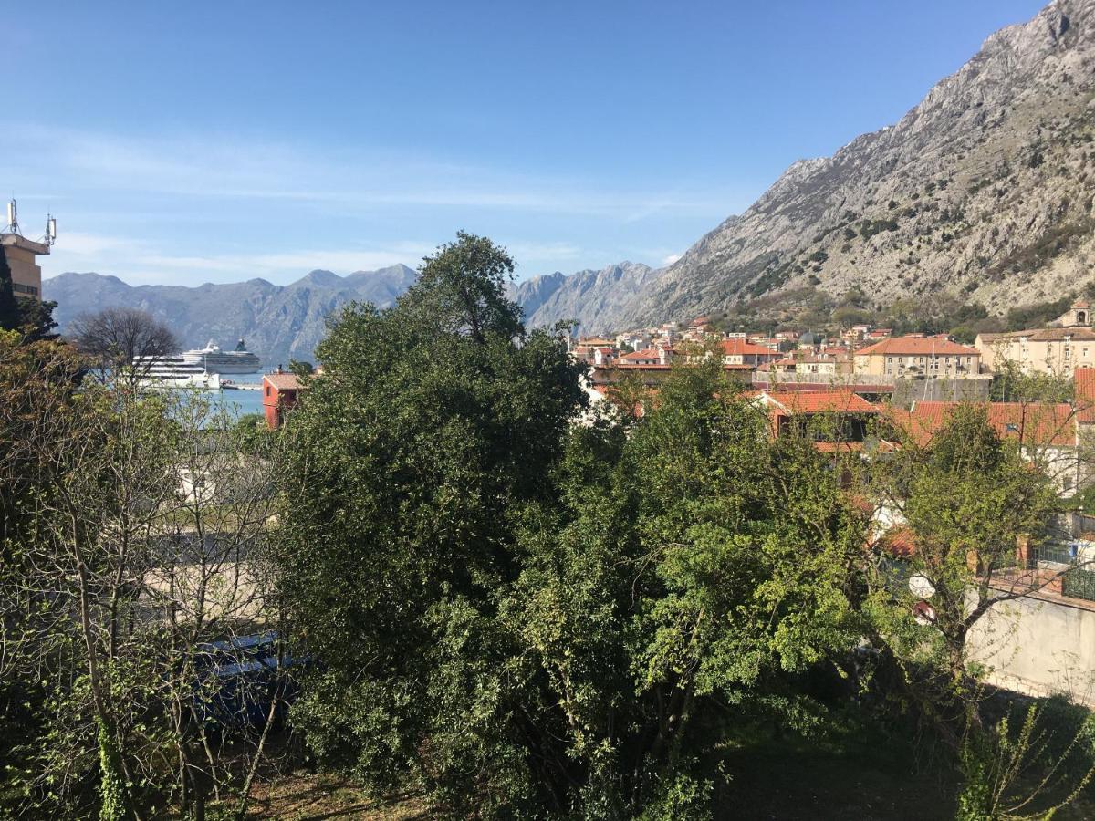 Art House 001 Otel Kotor Dış mekan fotoğraf